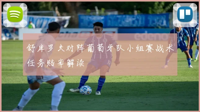 舒库罗夫对阵葡萄牙队小组赛战术任务赔率解读