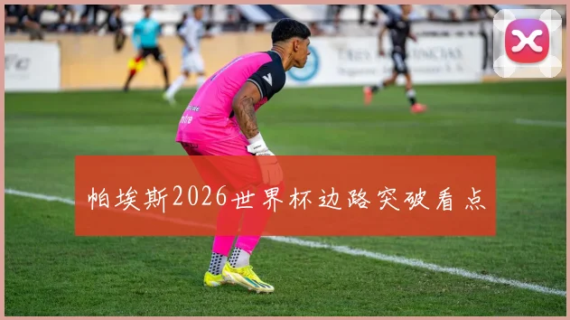 帕埃斯2026世界杯边路突破看点