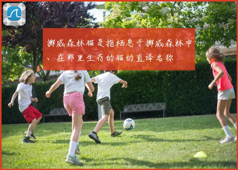 必赢体育赛事在线登录 - 挪威森林猫是指栖息于挪威森林中、在那里生存的猫的直译名称