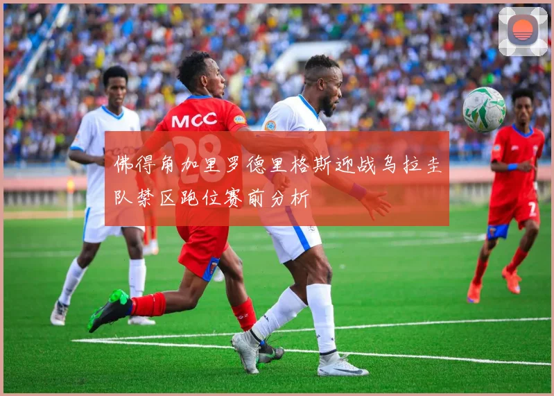 佛得角加里罗德里格斯迎战乌拉圭队禁区跑位赛前分析