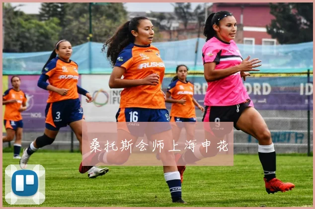 必赢体育赛事在线登录 - 桑托斯会师上海申花