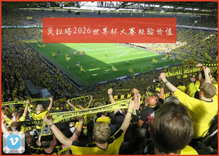 莫拉塔2026世界杯大赛经验价值
