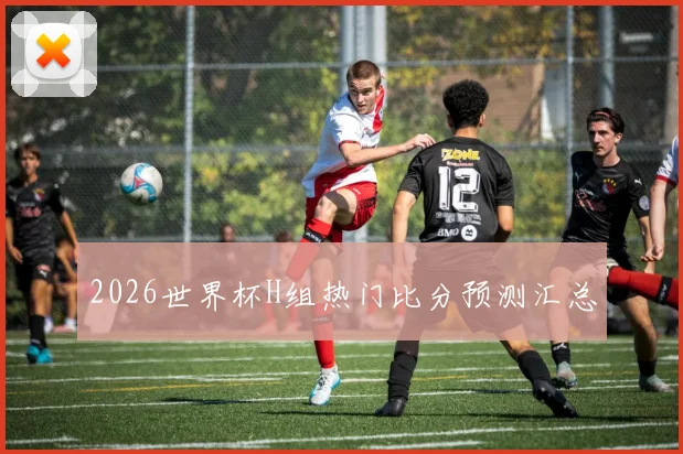 2026世界杯H组热门比分预测汇总
