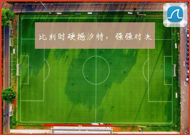 必赢体育赛事在线登录 - 比利时硬撼沙特，强强对决