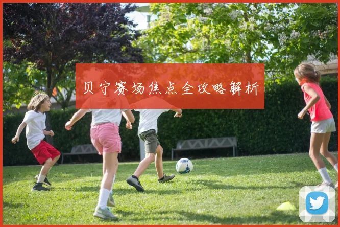 必赢体育赛事在线登录 - 贝宁赛场焦点全攻略解析