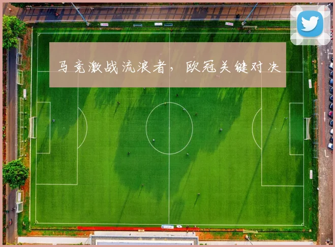 必赢体育赛事在线登录 - 马竞激战流浪者，欧冠关键对决