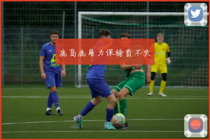 必赢体育赛事在线登录 - 鹿岛鹿角力保榜首不失