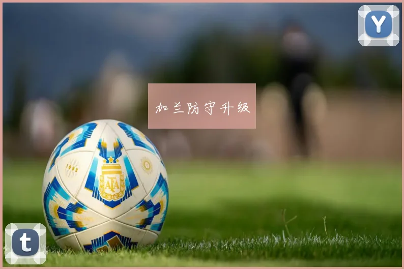 必赢体育赛事在线登录 - 加兰防守升级
