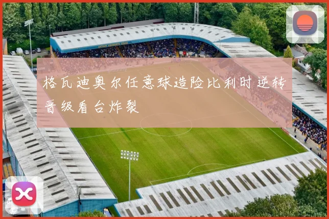 格瓦迪奥尔任意球造险比利时逆转晋级看台炸裂