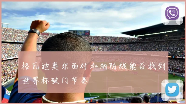 格瓦迪奥尔面对加纳防线能否找到世界杯破门节奏