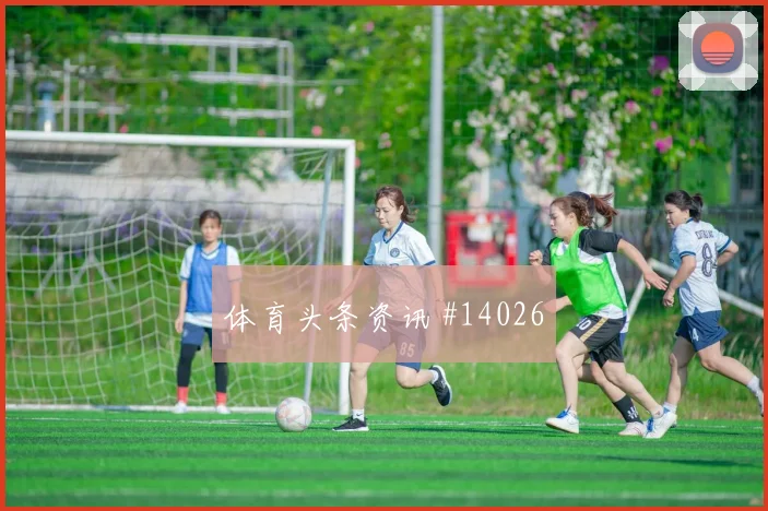 纳西布对阵阿尔及利亚小组赛背身拿球质量能否提升进攻