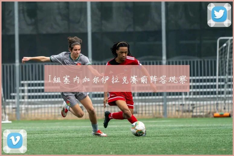 I组塞内加尔伊拉克赛前阵容观察