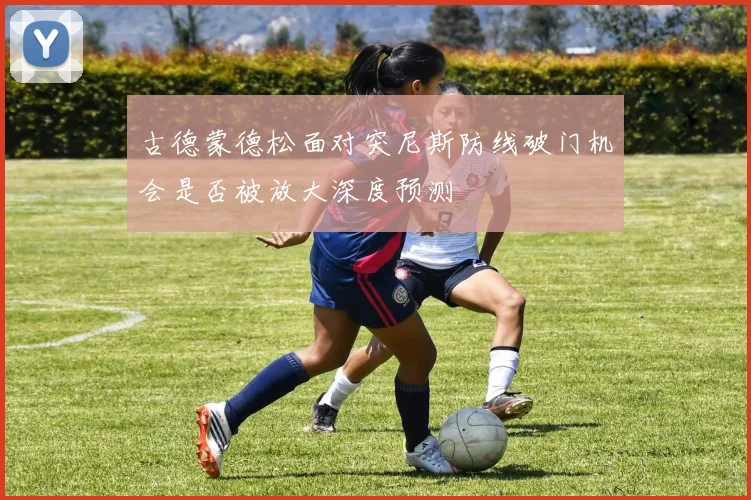 古德蒙德松面对突尼斯防线破门机会是否被放大深度预测
